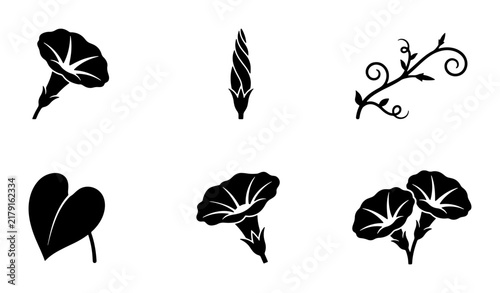 Morning Glory Flower Vector Icons, Bud and Leaf Silhouettes, Botanical Illustration Set, Floral Design Elements