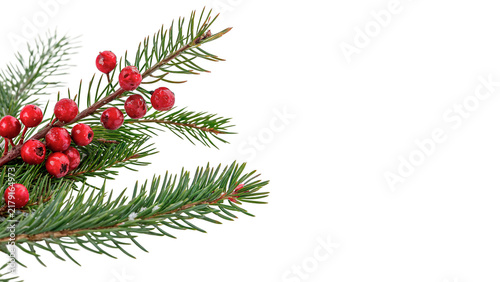 Obraz na płótnie Green pine tree branch with vibrant red winter berries isolated on transparent b