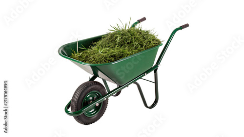 Obraz na plátně Green metallic garden wheelbarrow filled with fresh mown grass isolated on trans