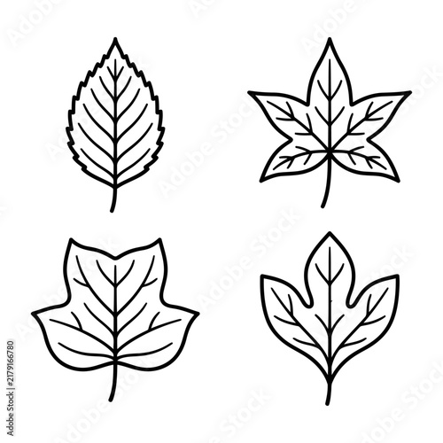 Set of four different hand drawn leaf icons