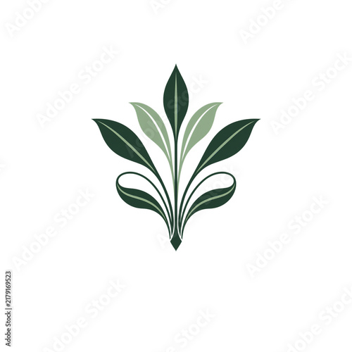 green leaf isolated