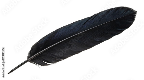 Foto Elegant single black raven feather showing delicate organic quill texture with s