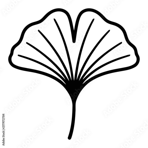 Ginkgo biloba leaf outline