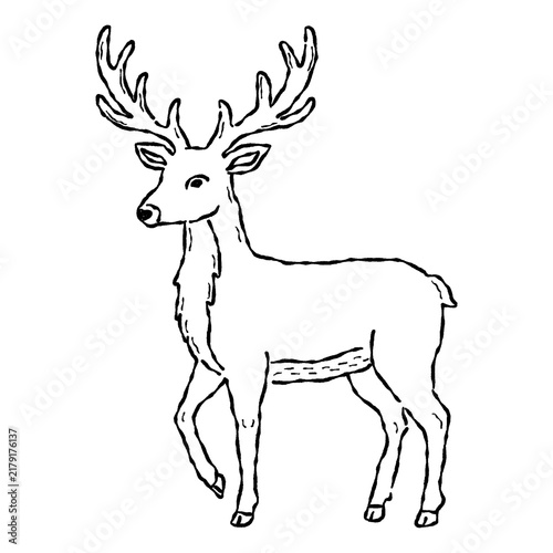 Hand drawn stag deer with antlers line art, ink pen bleeding brush texture sketch, black and white wildlife