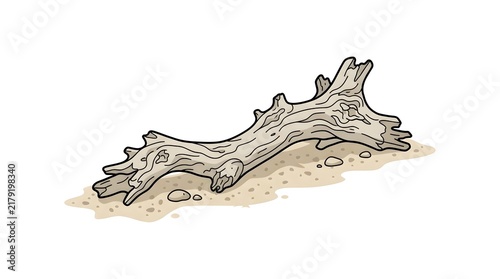 Hand-drawn vector illustration of a weathered piece of driftwood resting on beach sand with small pebbles. Isolated on white background.