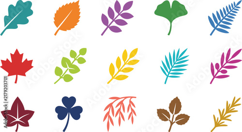 A colorful collection featuring a detailed botanical vector illustration icon set showcasing various forest leaves and plant foliage for creative design projects