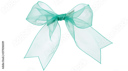 Cuadro en lienzo Sheer teal organza bow with pointed ends, isolated on transparent background