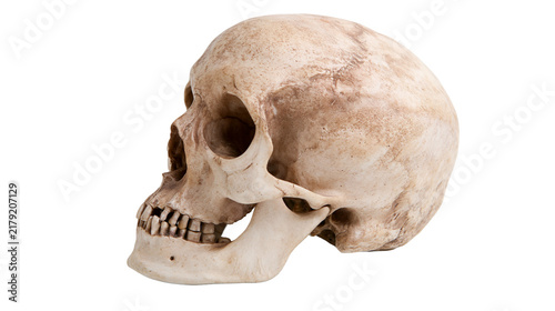 Konstfotografi Weathered human skull with visible teeth and eye sockets, isolated on transparen