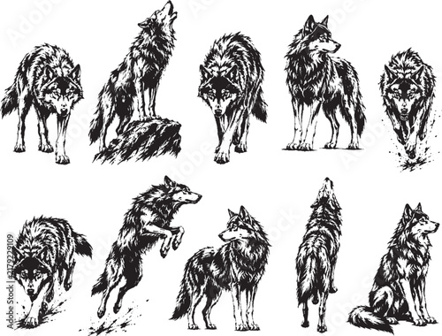 A set of black and white wolves in various poses