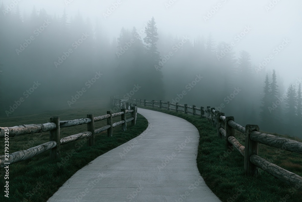 Obraz premium A Winding Path Through a Misty Forest with Wooden Fences.