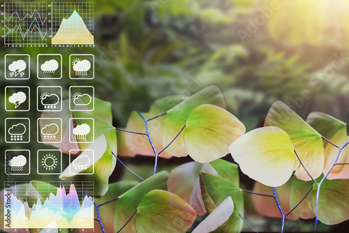 A close-up shot of green leaves with sunlight flare, featuring a transparent weather forecast graphical user interface (GUI) on the left side. The overlay includes line graphs, climate analytics.