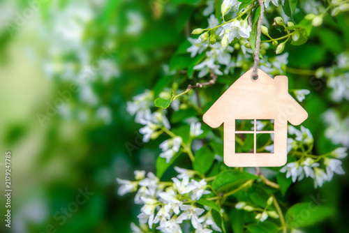 Symbol of the house on the branches of a flowering jasmine
