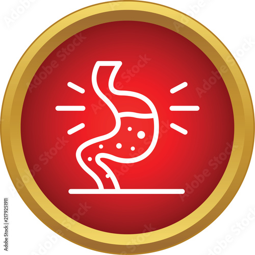 Foto Human stomach organ with liquid and bubbles indicating discomfort, digestion, or