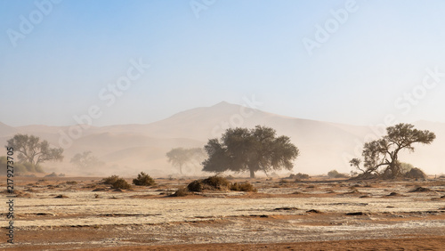 Quadro su tela Desert trees in dusty haze near Sossusvlei, Namibia