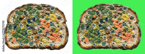 Konstfotografi Slice of moldy bread