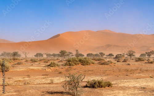 Принти на полотні Red sand dunes in blowing dust at Sossusvlei, Namibia