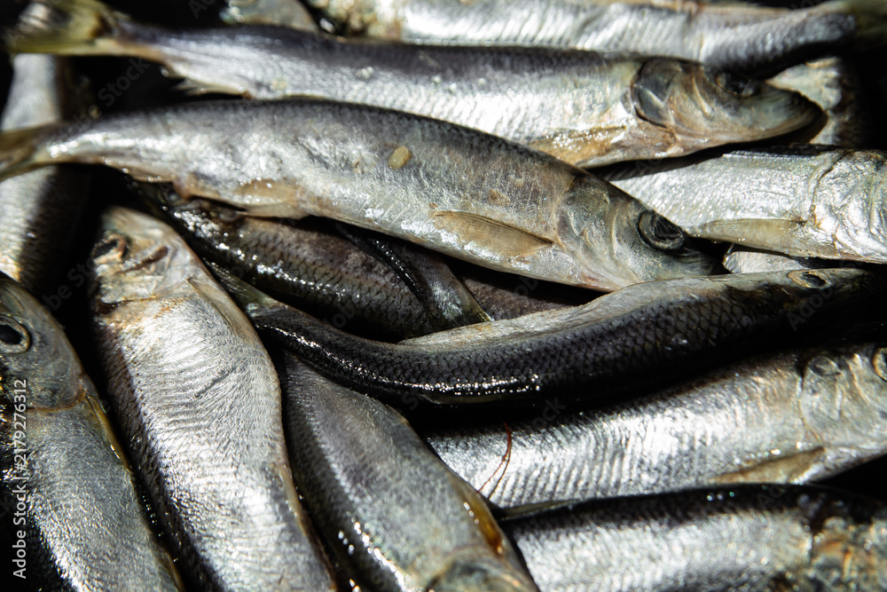 Obraz premium Fresh baltic herring fish close up on dark background