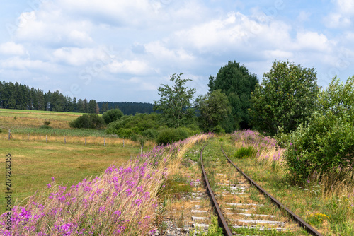 Railway track lined with flowering willowherb, Belgium