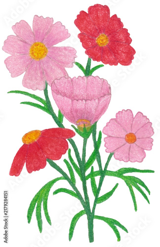 Hand Drawn Pink and Red Flower Bouquet with Green Leaves