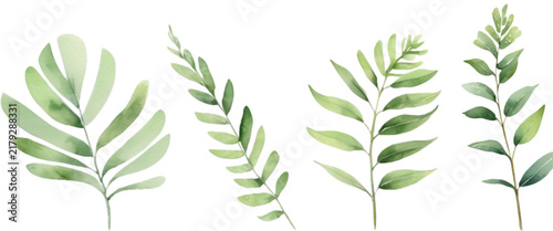 Botanical green leaf sprigs watercolor set isolated on solid white background