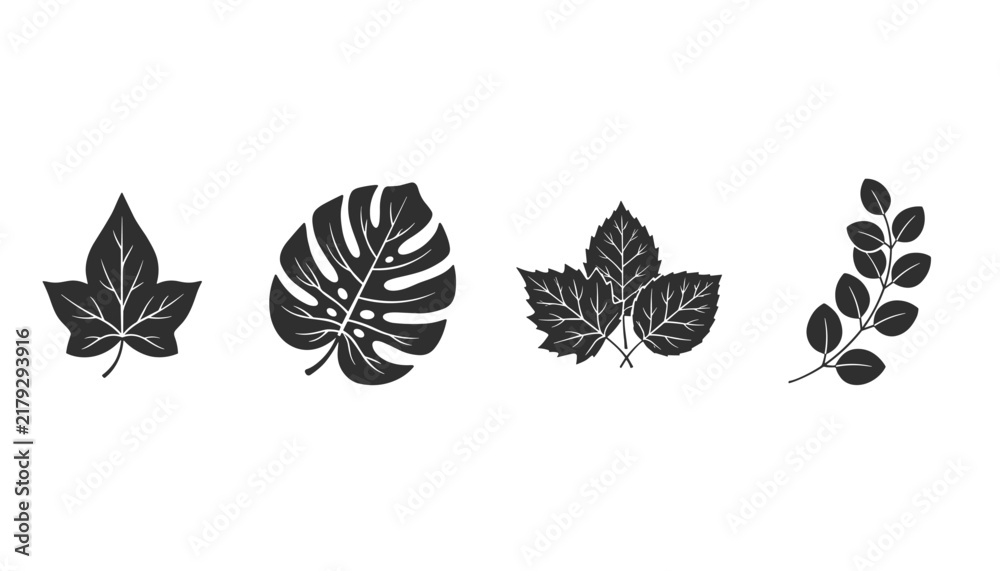 Obraz premium Black silhouettes of four different types of botanical leaves including monstera and ivy on a white background.