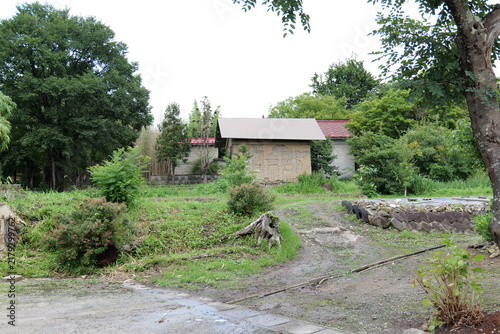 Rural street with houses and vegetable gardens in Japan