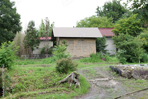 Rural street with houses and vegetable gardens in Japan