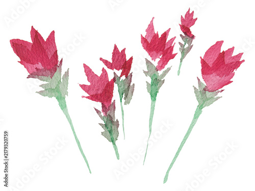 Pink Curcuma Flower Simple Brushstroke Watercolor Illustration