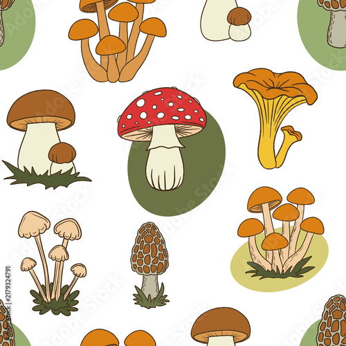 Mushroom seamless pattern. Wild mushroom illustration with chanterelle, fly agaric, porcini and clustered fungi. Ideal for fabric, wallpaper, packaging, stationery and nature designs.