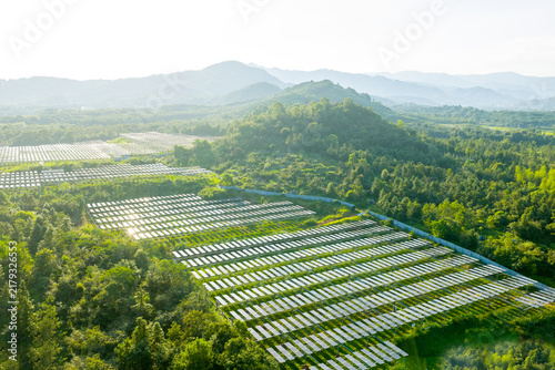 Solar power plant panels arranged in rows amidst green mountains and forests