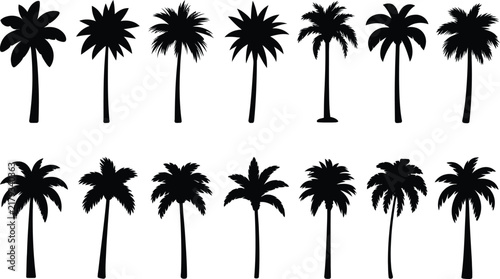 Black palm tree silhouette icon set collection featuring fourteen different isolated tropical plants for summer vacation beach design elements