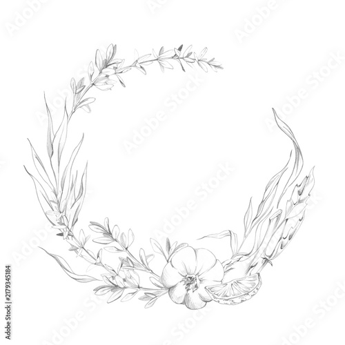 Tarragon, citrus, garlic cloves, thyme fresh herbs, aromatic spices, Mediterranean flavors. Isolated hand drawn wreath frame in graphite pencil. Gastronomy magazines, cultural local cuisine guides