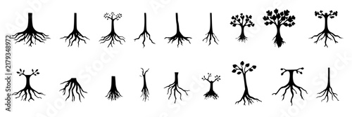 Tree roots set with diverse patterns featuring root system, trunk, grid layout with circular shapes and flat design