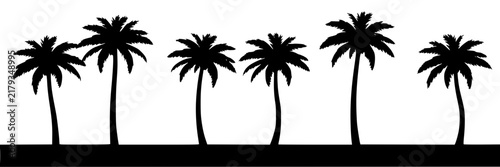 Palm trees set with black silhouettes featuring tropical, serene, minimalist with staggered formation and monochromatic