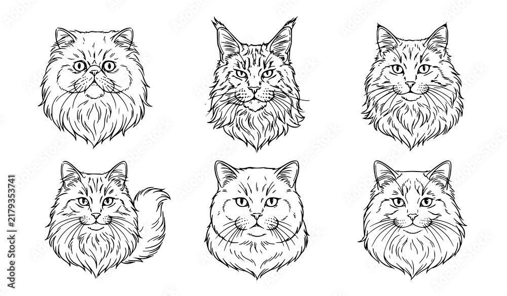 Fototapeta premium Long Haired Cat Portraits Black and White Line Art Vector Collection
