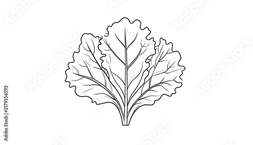 Minimalist line art illustration of a brain.