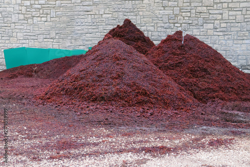Fotografía le marc de raisin avant utilisation diverse