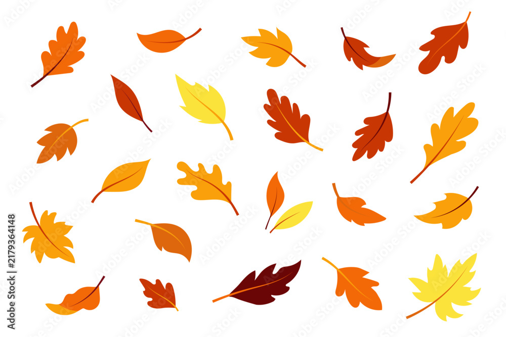 Fototapeta premium Set of colorful flat vector autumn leaves on white background