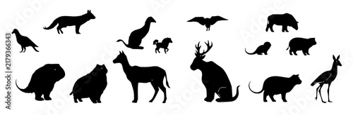 Animal set with grid layout featuring mammal, bird, reptile, fish with silhouette and flat design