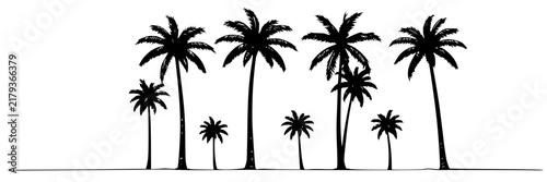 Palm tree set with diverse species featuring line art, minimalism, symmetry, monochrome and tropical foliage with black ink and white background