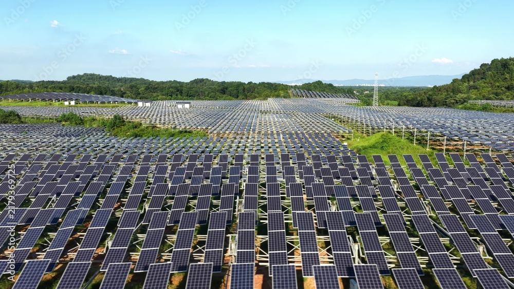 Fototapeta premium vast solar panel arrays arranged in neat rows across green fields