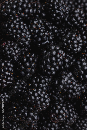 Foto Mûres macro photographie