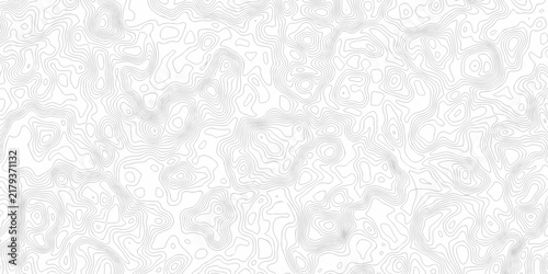 abstract white grid topography map hiking spiral texture. vector geographic contour mounted map wireframe background.