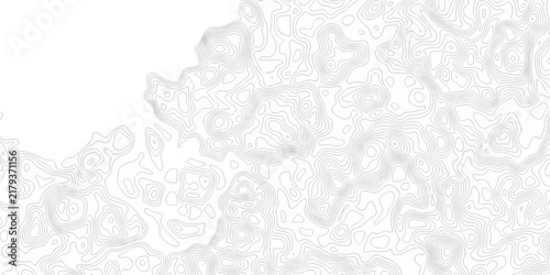abstract white grid topography map hiking spiral texture. vector geographic contour mounted map wireframe background.