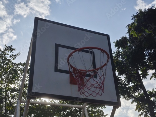 Canvastavla Basketball backboard and hoop with net against sunny sky and tree branches