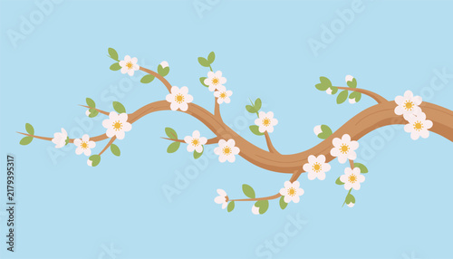 Elegant brown branch adorned with delicate light pink cherry blossoms and small green leaves rests on a sky blue background.