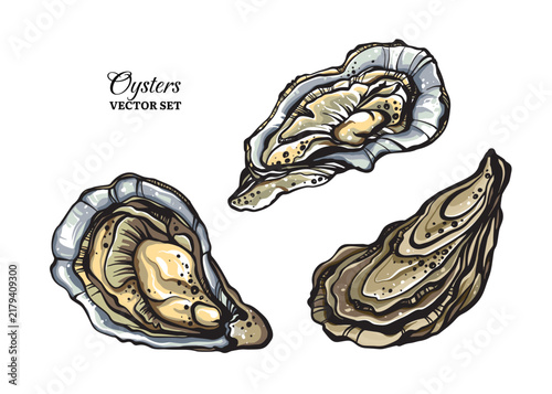 Colorful oysters vector set.  Stylized marine oyster shells with pearls isolated on white background.