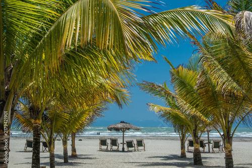 spiaggia deserta con sdraio e palme