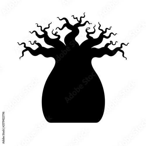 Baobab tree swollen trunk silhouette