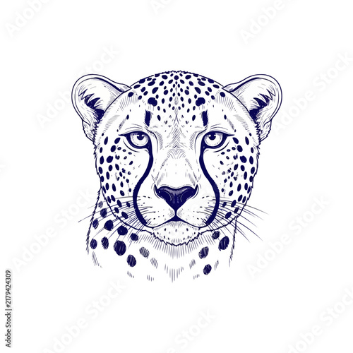 Leopard head sketch - hand drawn wild animal portrait illustration